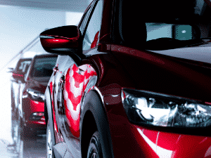 Pinellas County Auto Detailing Services 13