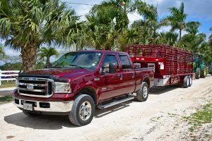 Clearwater Beach Truck Detailing Services pickup 3247624 1920 300x200